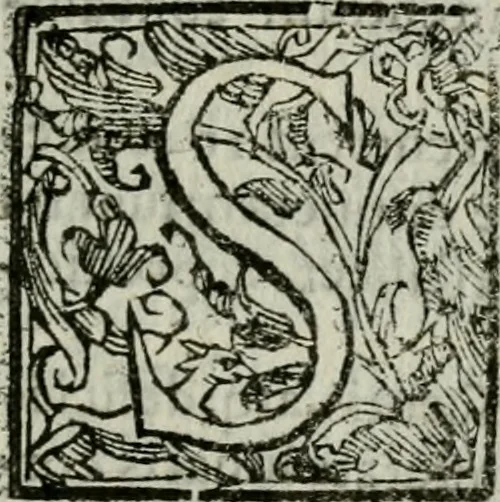 An illustration from Novae coelestium terrestriumq[ue] rerum observationes : et fortasse hactenus non uulgatae, 1646, leaf 36