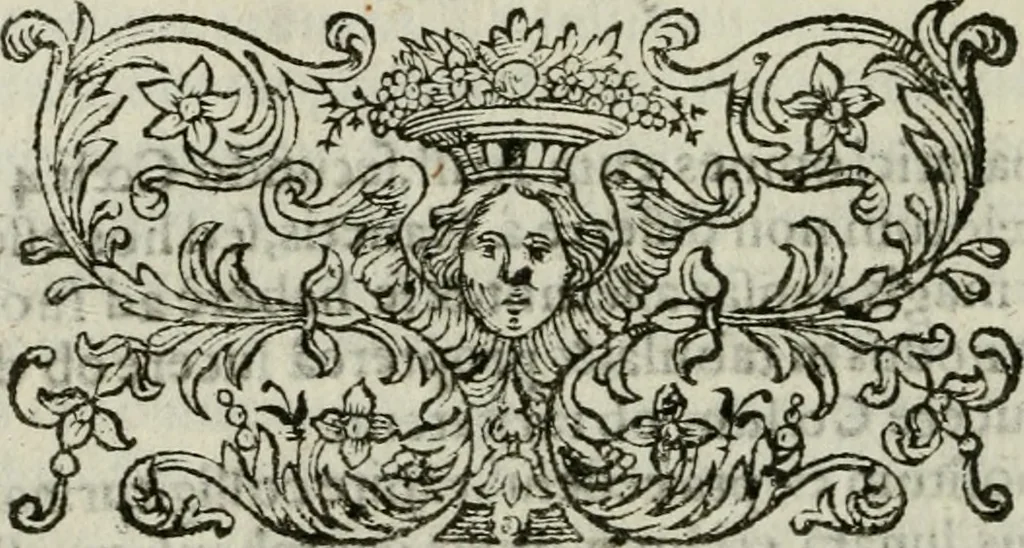 An illustration from Novae coelestium terrestriumq[ue] rerum observationes : et fortasse hactenus non uulgatae, 1646, leaf 41