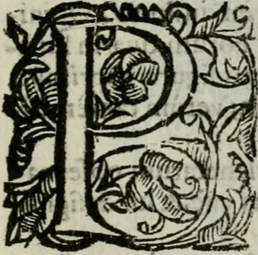 An illustration from Novae coelestium terrestriumq[ue] rerum observationes : et fortasse hactenus non uulgatae, 1646, leaf 42