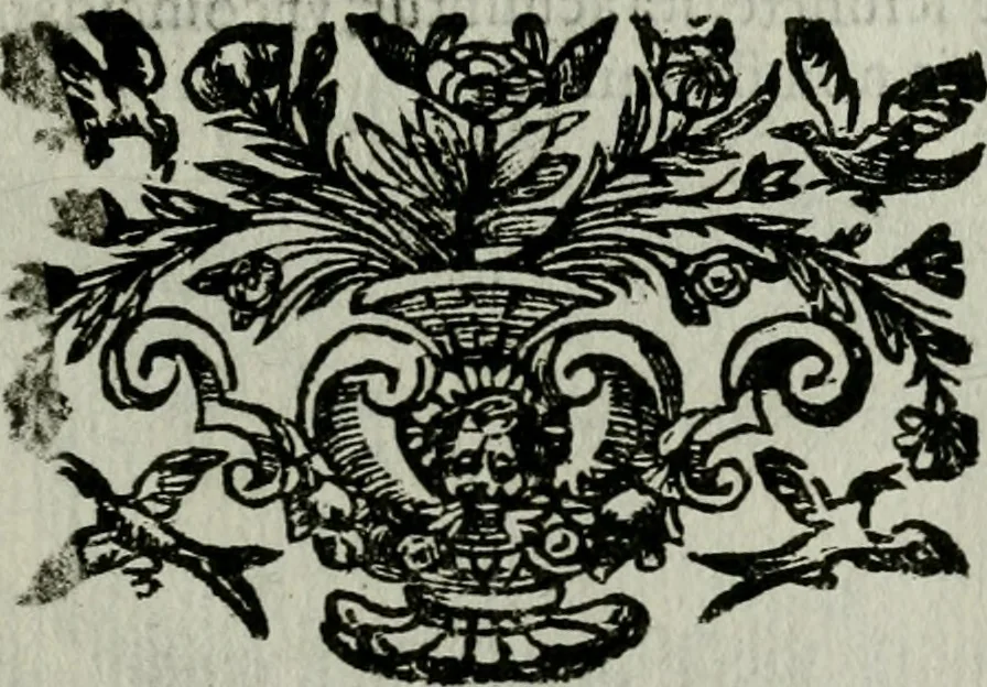 An illustration from Novae coelestium terrestriumq[ue] rerum observationes : et fortasse hactenus non uulgatae, 1646, leaf 44