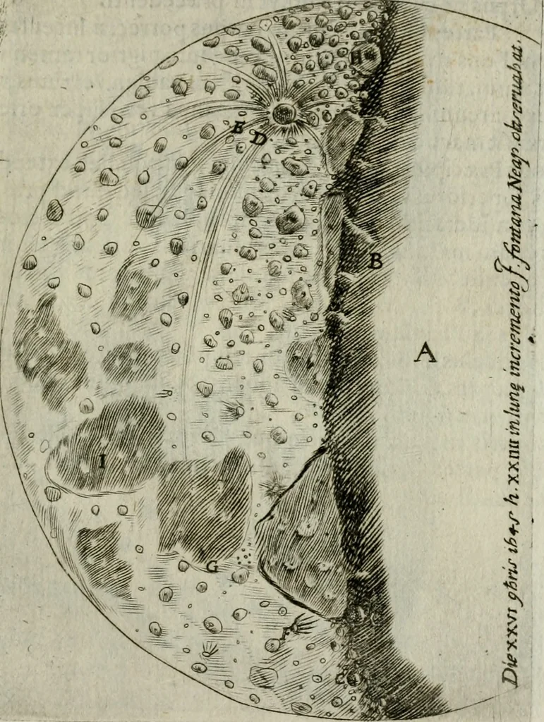 An illustration from Novae coelestium terrestriumq[ue] rerum observationes : et fortasse hactenus non uulgatae, 1646, leaf 58