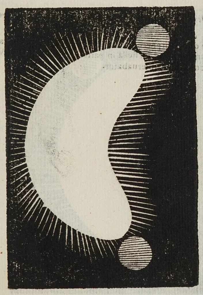 An illustration from Novae coelestivm terrestrivmq; rervm observationes, et fortasse hactenus non uulgatae, 1646, leaf 107