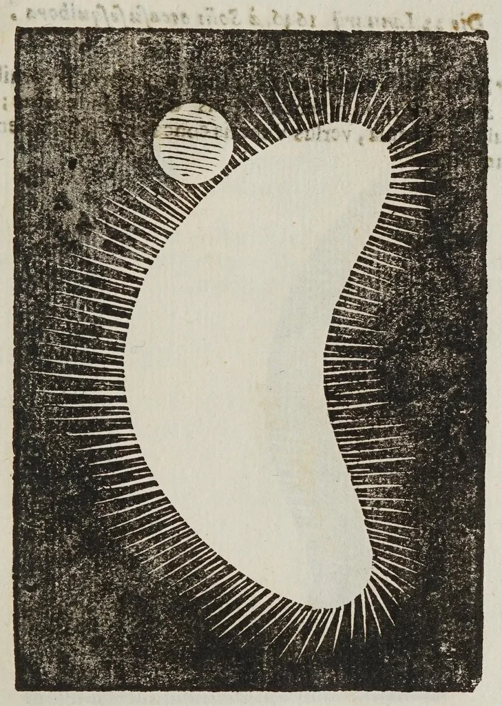 An illustration from Novae coelestivm terrestrivmq; rervm observationes, et fortasse hactenus non uulgatae, 1646, leaf 109