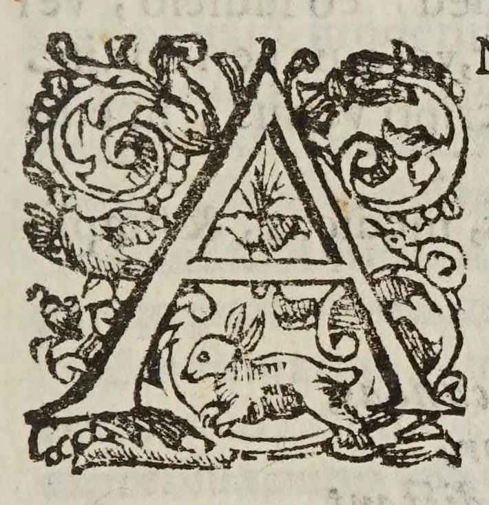An illustration from Novae coelestivm terrestrivmq; rervm observationes, et fortasse hactenus non uulgatae, 1646, leaf 21