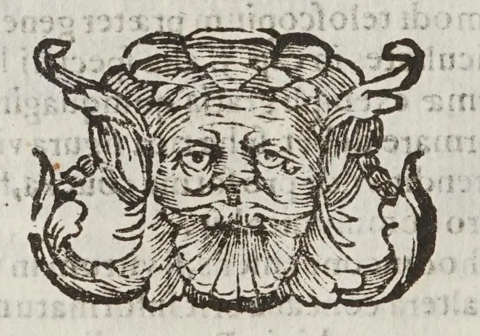 An illustration from Novae coelestivm terrestrivmq; rervm observationes, et fortasse hactenus non uulgatae, 1646, leaf 32