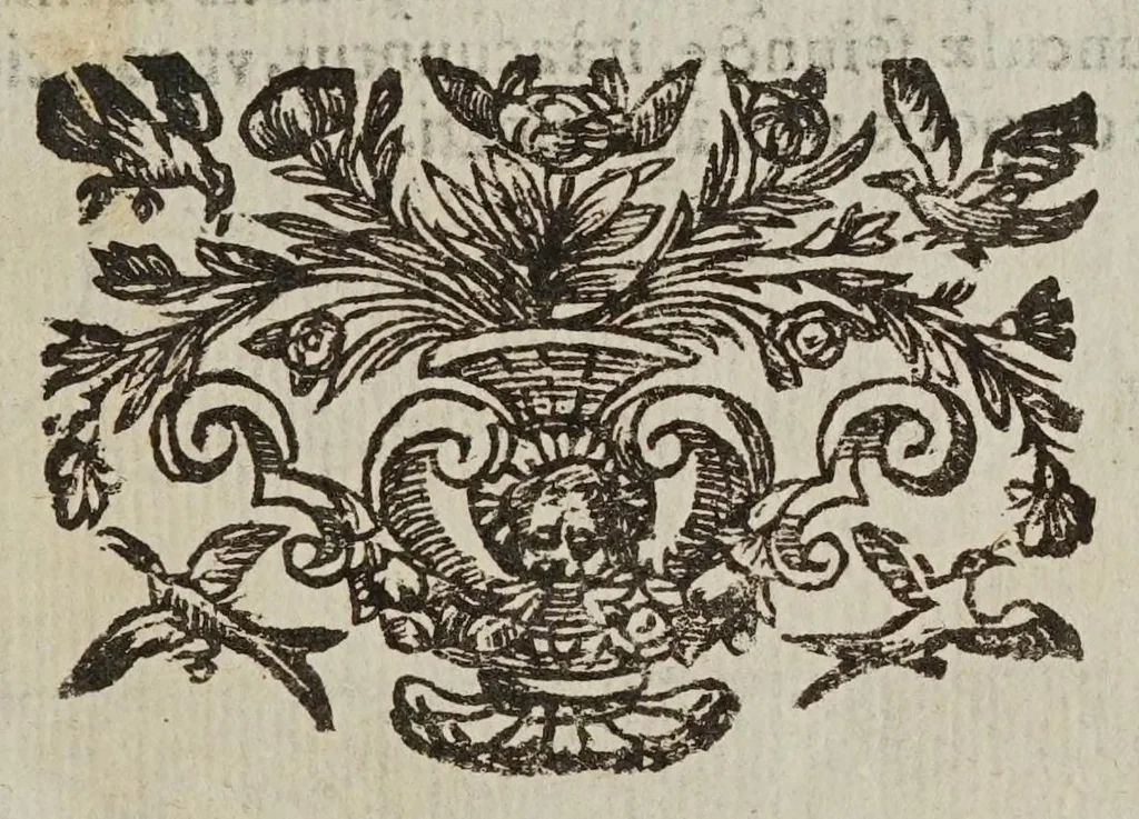 An illustration from Novae coelestivm terrestrivmq; rervm observationes, et fortasse hactenus non uulgatae, 1646, leaf 41