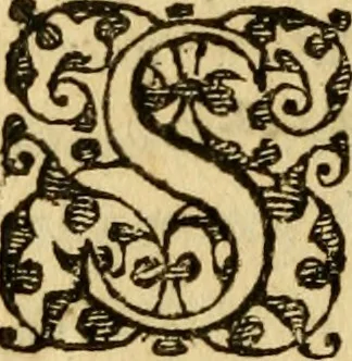 An illustration from Novae Novi orbis historiæ, 1600, leaf 171