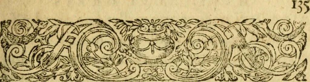 An illustration from Novae Novi orbis historiæ, 1600, leaf 172
