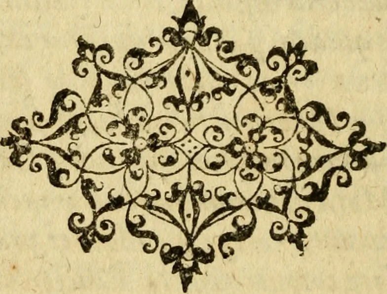 An illustration from Novae Novi orbis historiæ, 1600, leaf 303