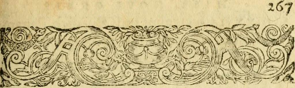 An illustration from Novae Novi orbis historiæ, 1600, leaf 304