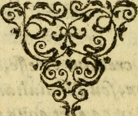 An illustration from Novae Novi orbis historiæ, 1600, leaf 463