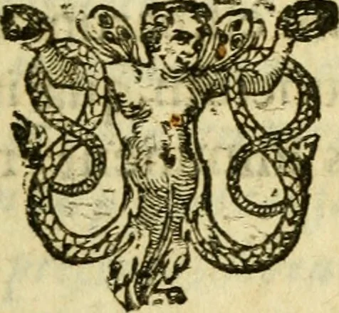 An illustration from Novae Novi orbis historiæ, 1600, leaf 514