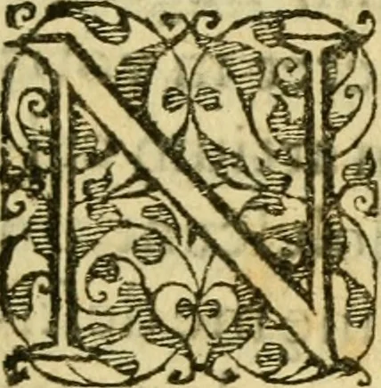 An illustration from Novae Novi orbis historiæ, 1600, leaf 8