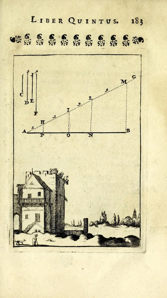 An illustration from Nova geometria, practica super charta et solo : libellus in quo nova traditur methodus, cujus ope facilis fit ac brevis, ad summa hujusce scientiae fastigia, cursus, 1692, leaf 195