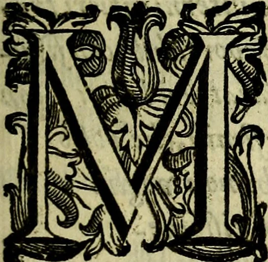 An illustration from Nova iconologia, 1618, leaf 10