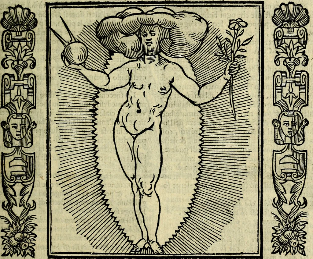 An illustration from Nova iconologia, 1618, leaf 104