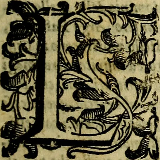 An illustration from Nova iconologia, 1618, leaf 14