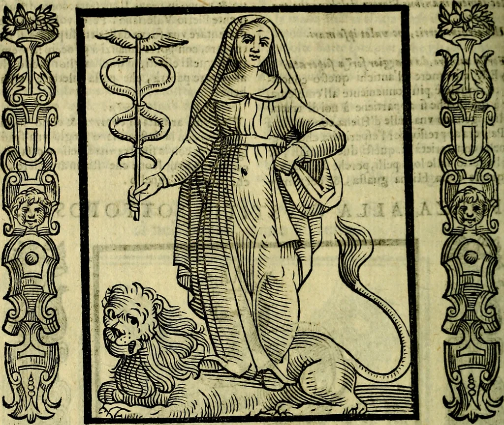 An illustration from Nova iconologia, 1618, leaf 261