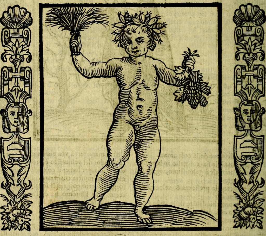 An illustration from Nova iconologia, 1618, leaf 269