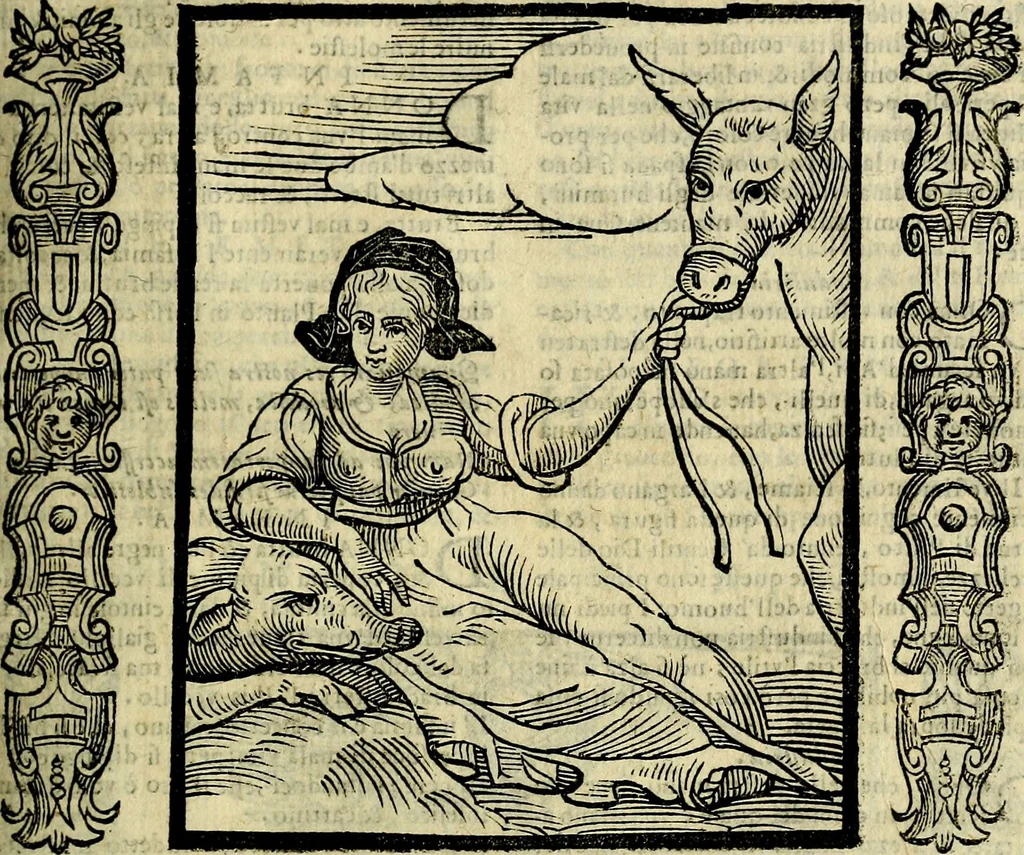 An illustration from Nova iconologia, 1618, leaf 306