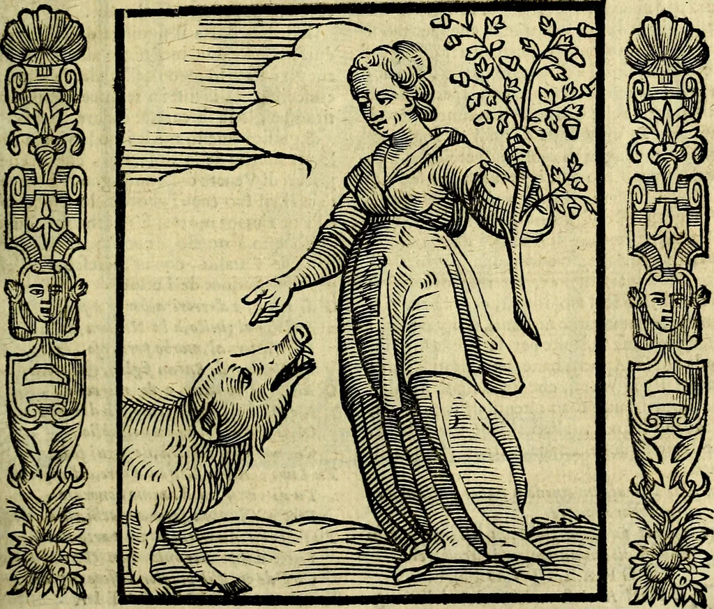 An illustration from Nova iconologia, 1618, leaf 312