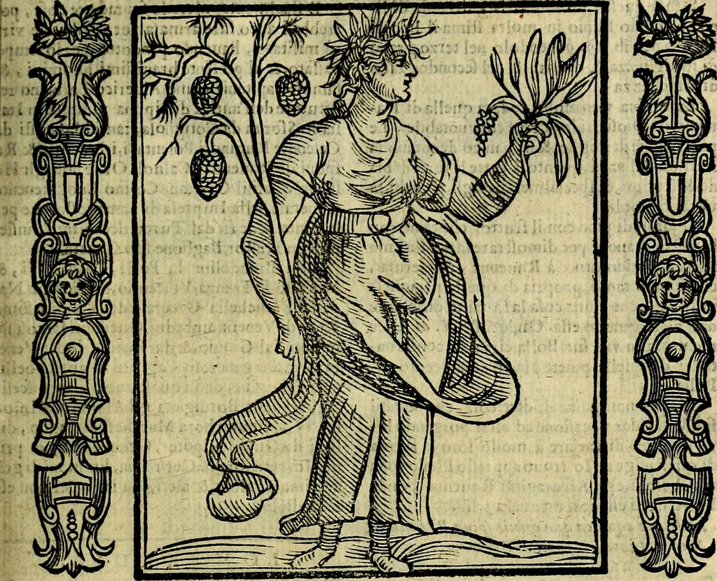 An illustration from Nova iconologia, 1618, leaf 344
