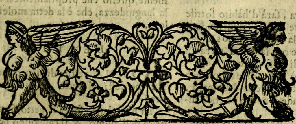 An illustration from Nova iconologia, 1618, leaf 356