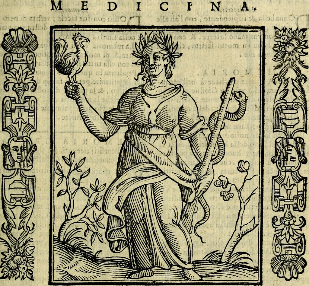 An illustration from Nova iconologia, 1618, leaf 378