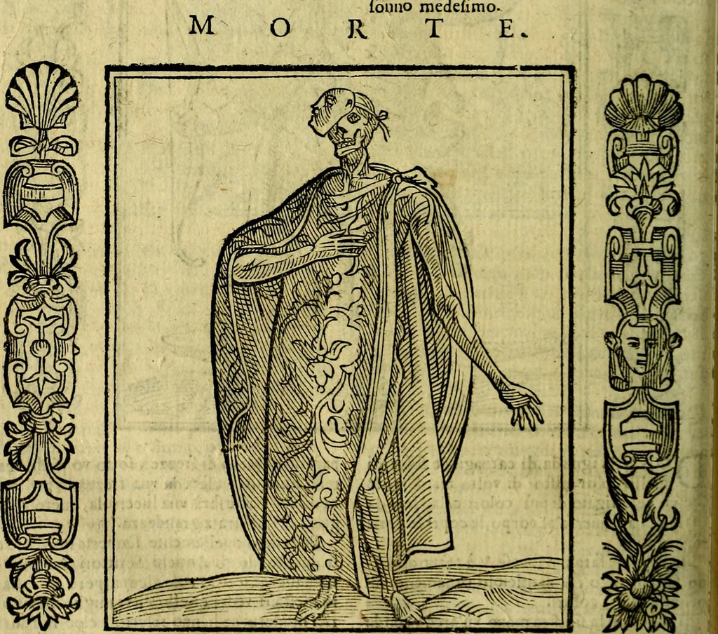 An illustration from Nova iconologia, 1618, leaf 407