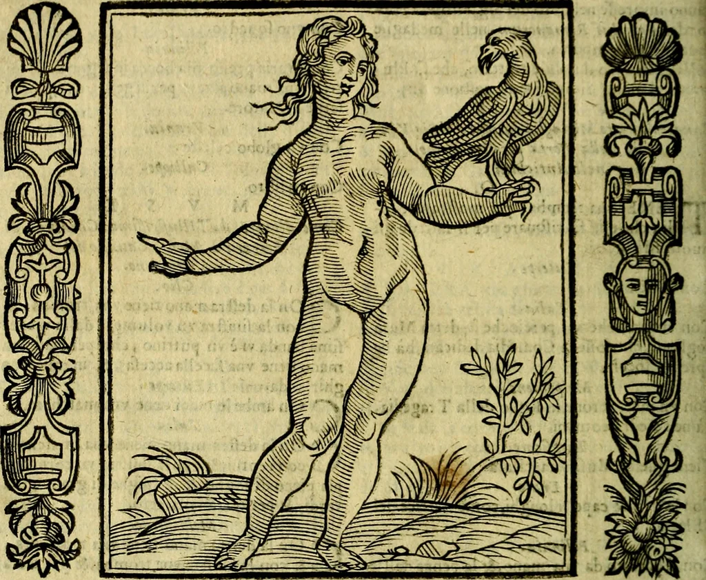 An illustration from Nova iconologia, 1618, leaf 415