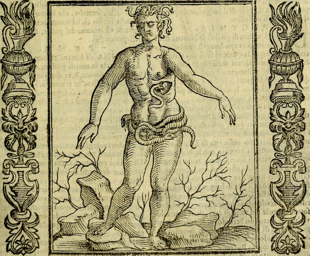 An illustration from Nova iconologia, 1618, leaf 454