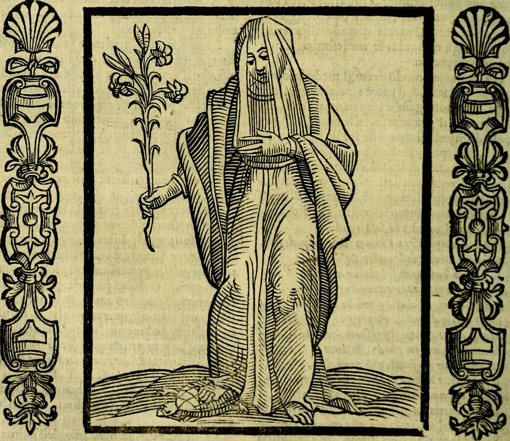 An illustration from Nova iconologia, 1618, leaf 483