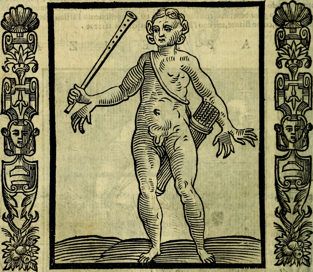 An illustration from Nova iconologia, 1618, leaf 509
