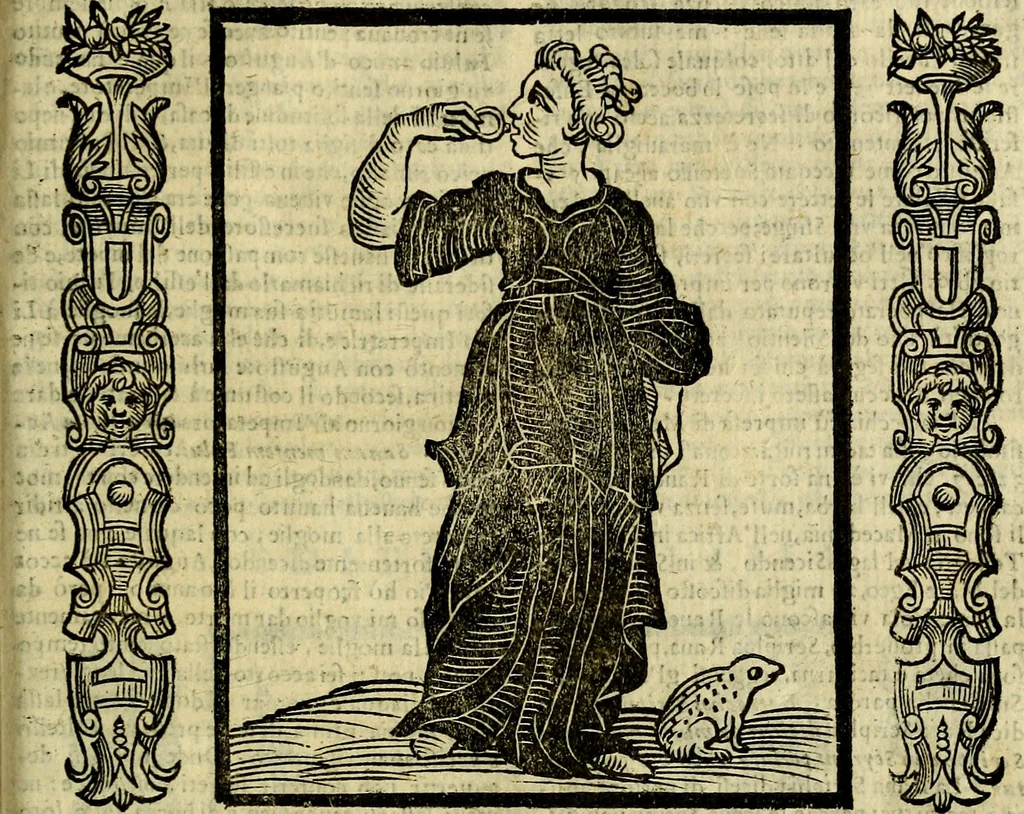 An illustration from Nova iconologia, 1618, leaf 518