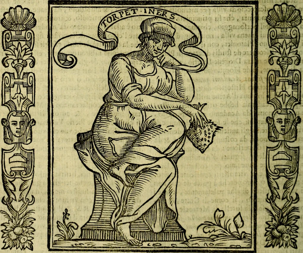 An illustration from Nova iconologia, 1618, leaf 59