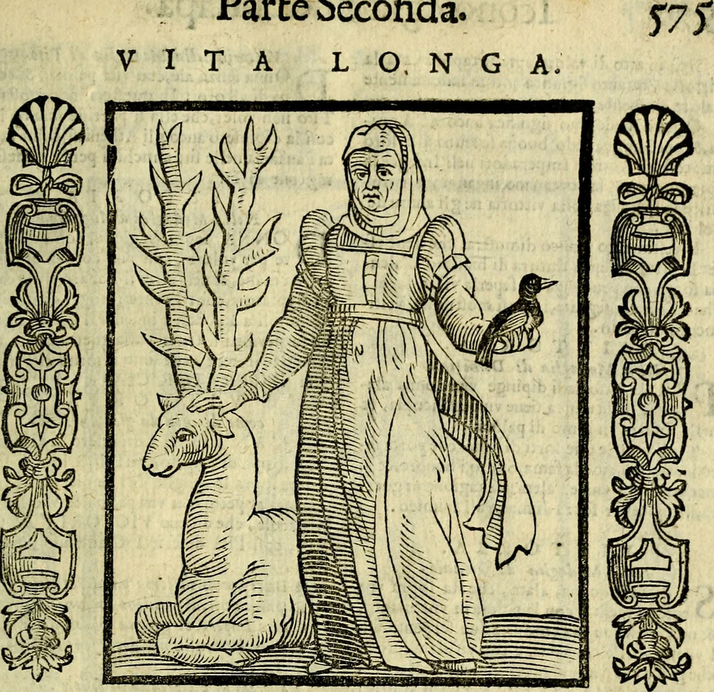 An illustration from Nova iconologia, 1618, leaf 628