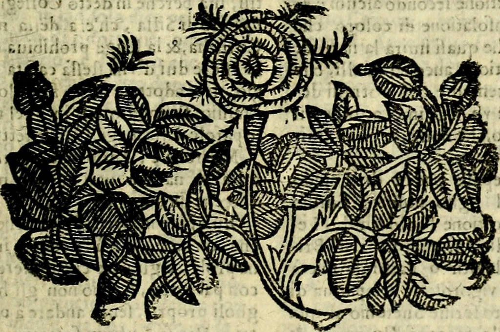 An illustration from Nova iconologia, 1618, leaf 634