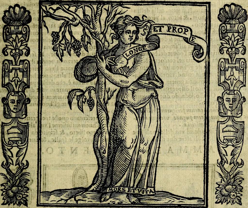 An illustration from Nova iconologia, 1618, leaf 70