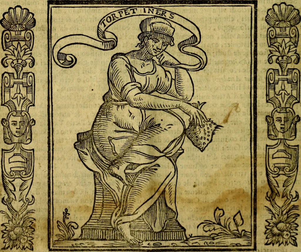 An illustration from Nova iconologia, 1618, leaf 17