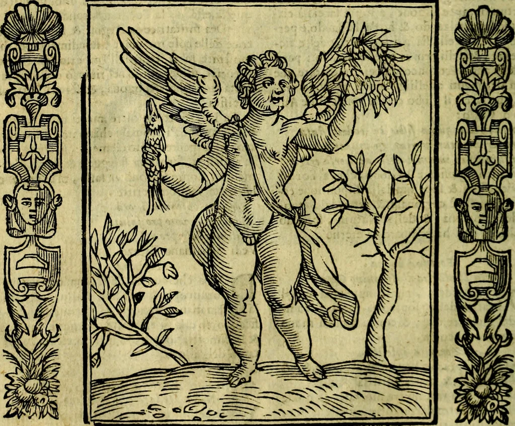 An illustration from Nova iconologia, 1618, leaf 217