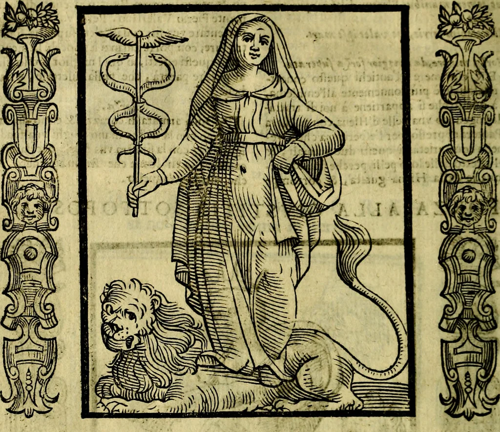 An illustration from Nova iconologia, 1618, leaf 219