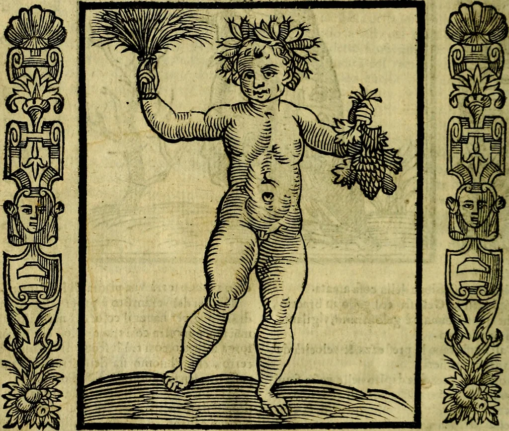 An illustration from Nova iconologia, 1618, leaf 227