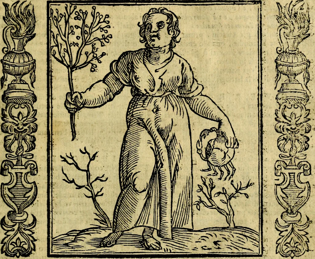 An illustration from Nova iconologia, 1618, leaf 242