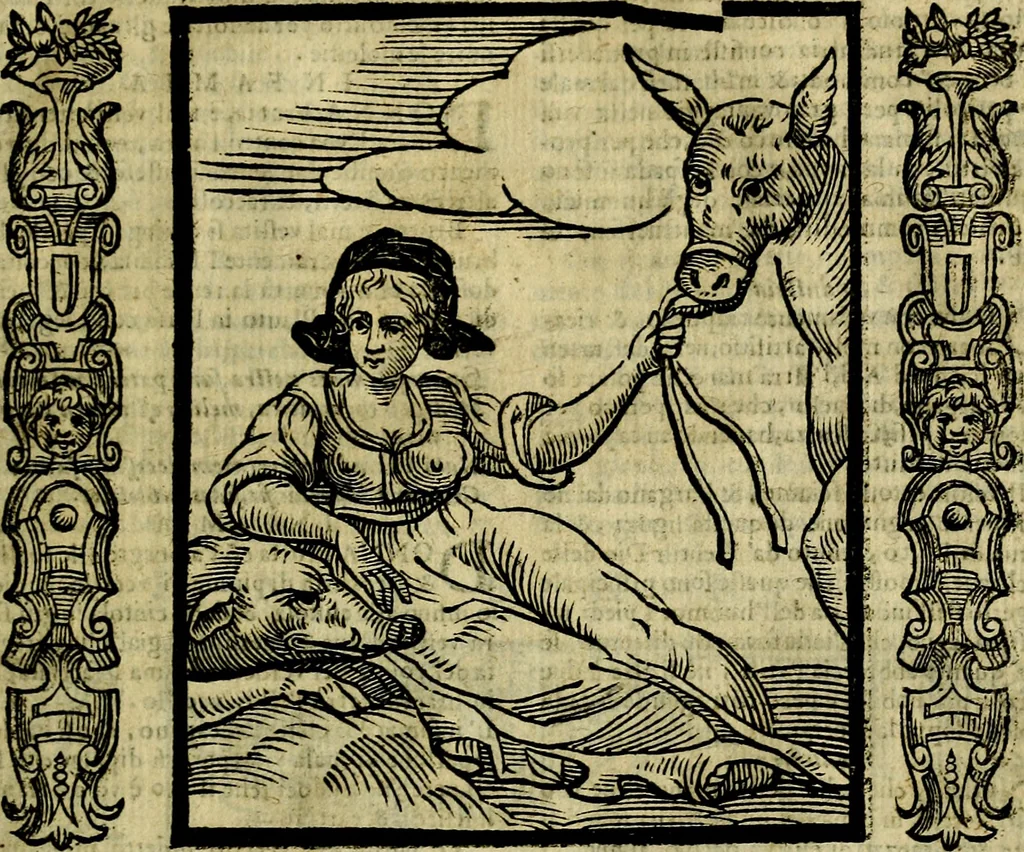 An illustration from Nova iconologia, 1618, leaf 264