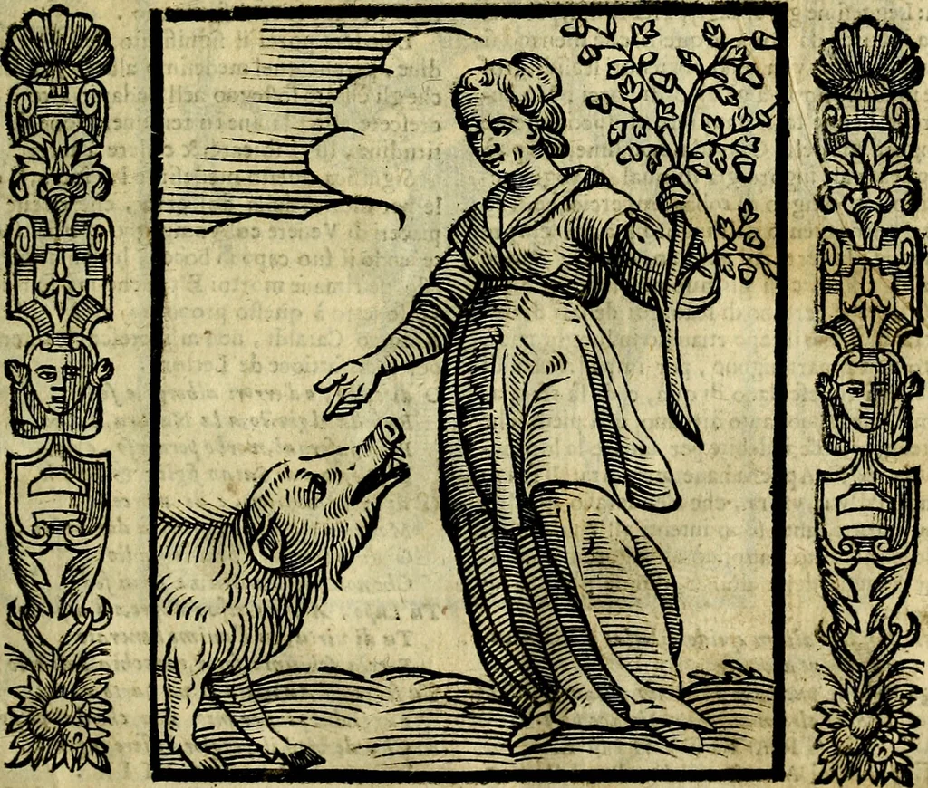 An illustration from Nova iconologia, 1618, leaf 270