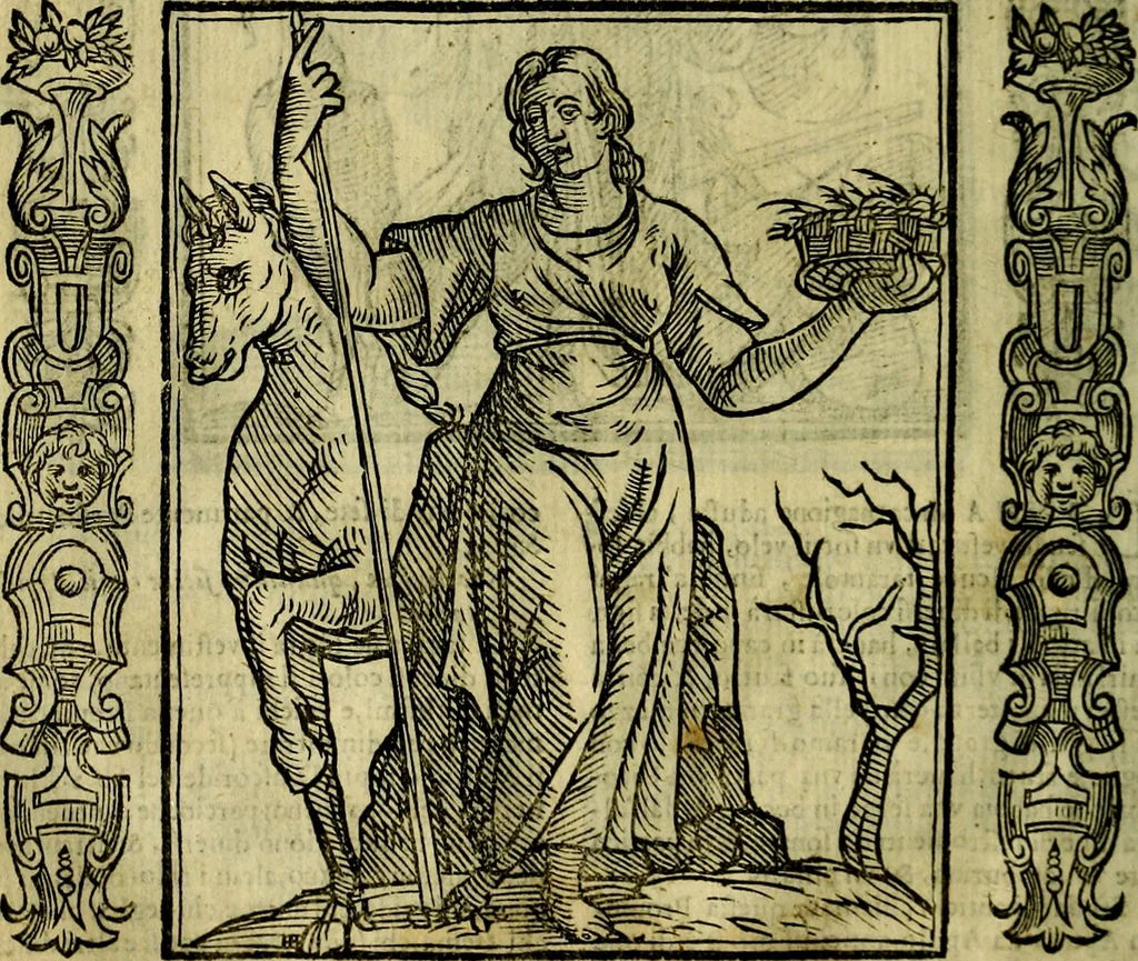 An illustration from Nova iconologia, 1618, leaf 299