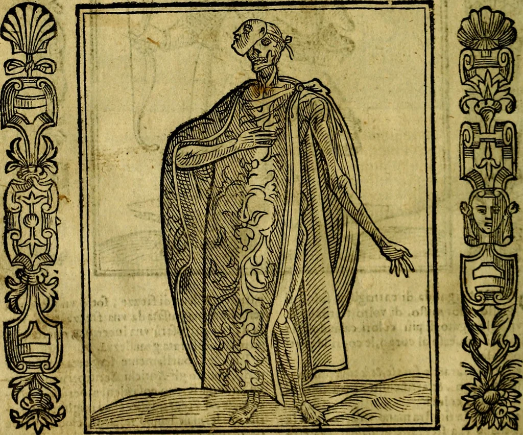 An illustration from Nova iconologia, 1618, leaf 365