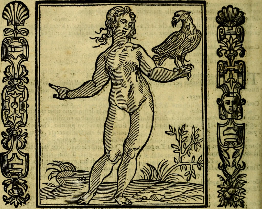 An illustration from Nova iconologia, 1618, leaf 373