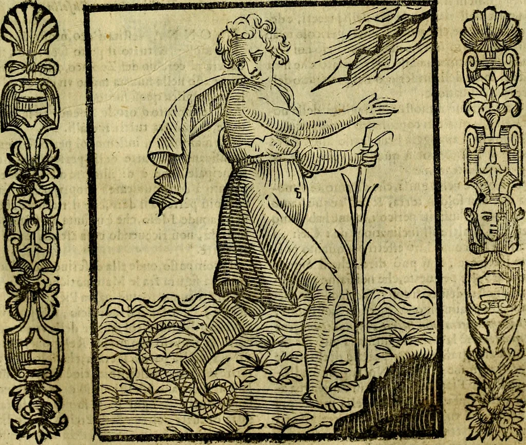 An illustration from Nova iconologia, 1618, leaf 416