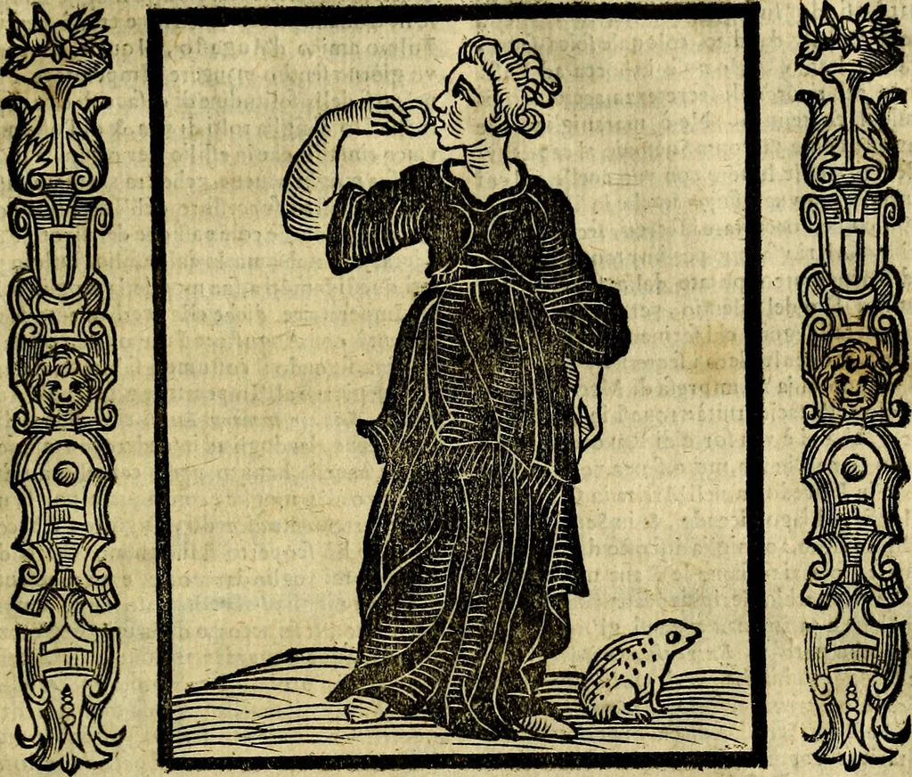 An illustration from Nova iconologia, 1618, leaf 478